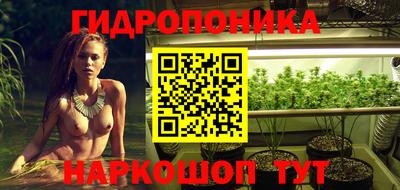 дурь Тара