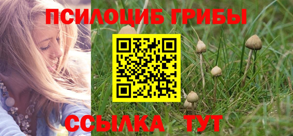 Воткинск  Галлюциногенные грибы MAGIC MUSHROOMS  Вход с VPN  Галлюциногенные грибы мицелий 